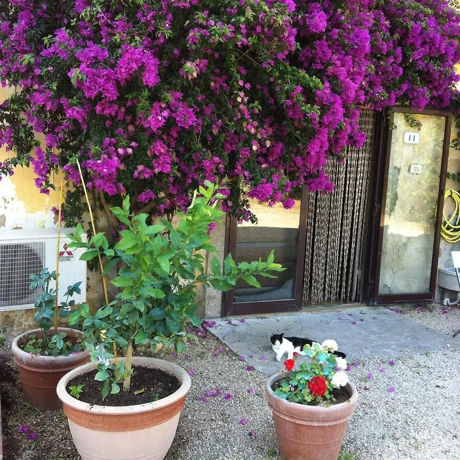 Monolocale In Villa D'Epoca Capoliveri  0*, Capoliveri (Isola d'Elba)