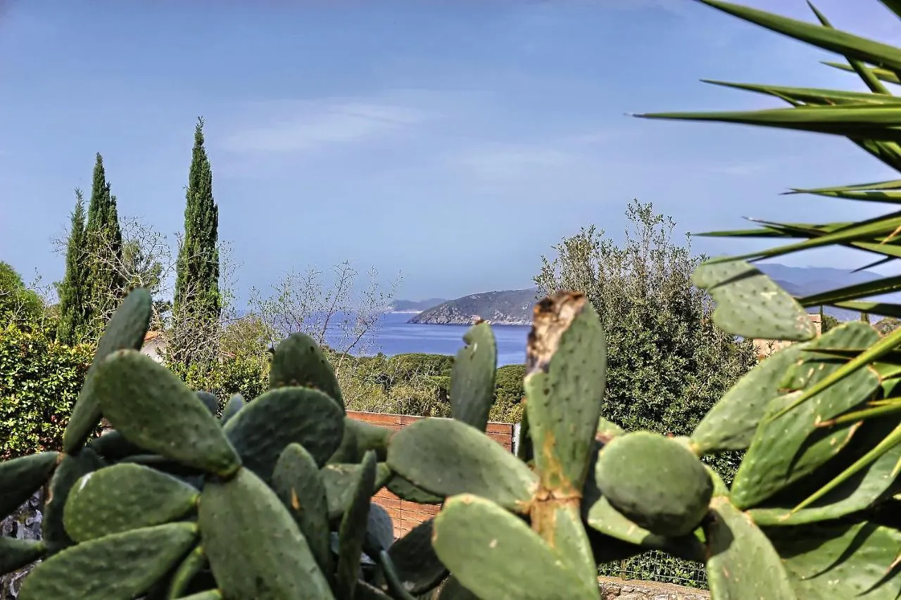 Monolocale In Villa D'Epoca Capoliveri  Apartment